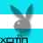 argentinabunni.jpg